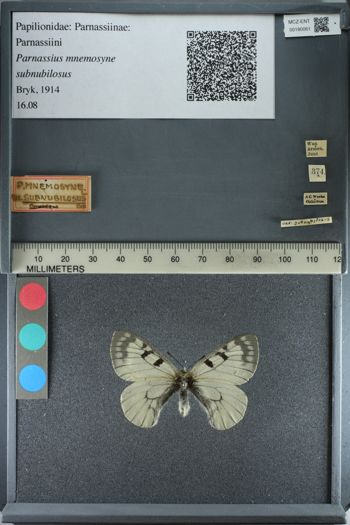 Media type: image;   Entomology 180061